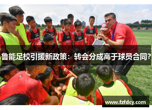 鲁能足校引援新政策：转会分成高于球员合同？